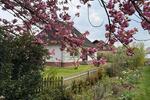 Bungalow Detern - 3 Zimmer, 120 m&sup2;, 1.050&euro; | Angebot:26397923
