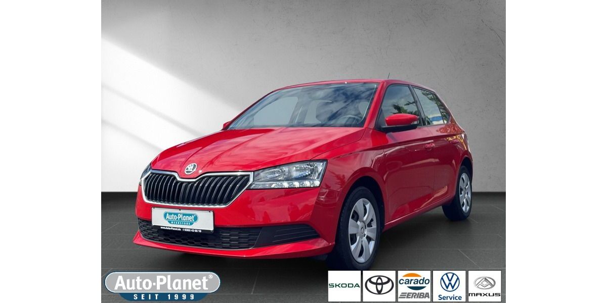 Skoda Fabia 131.336 km 7.990 &euro; Gera 07554