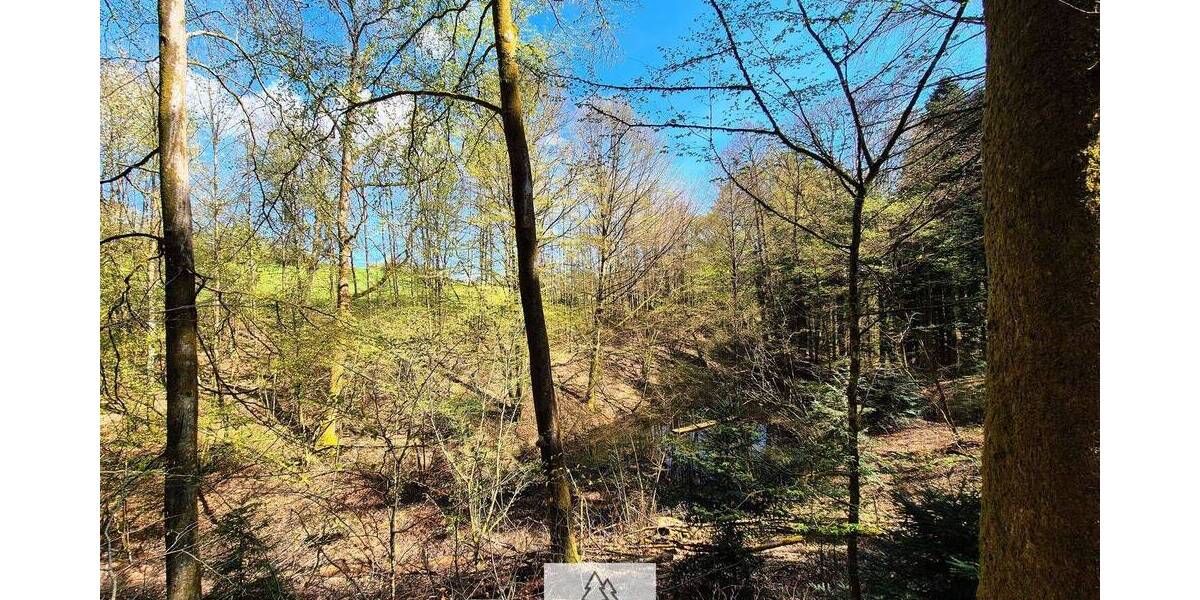Grundstück Mainhardt Ammertsweiler - 34.900&euro; | Angebot:26798338