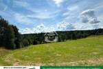 Grundstück Hohenberg an der Eger Neuhaus - 15.000&euro; | Angebot:22328512