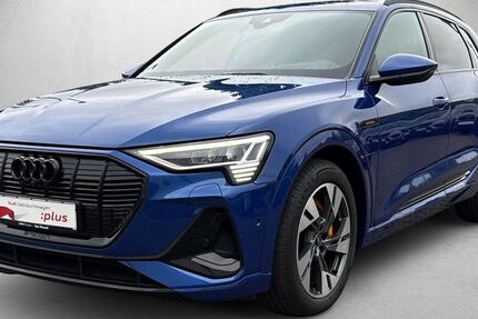 Audi e-tron 62.224 km 41.480 &euro; Mainz 55131