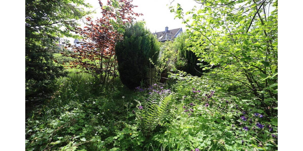 Grundstück Swisttal / Odendorf Odendorf - 320.000&euro; | Angebot:19311588