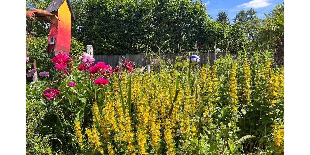 Mehrfamilienhaus, Wohnhaus Nümbrecht Heddinghausen - 1 Zimmer, 338 m&sup2;, 730.000&euro; | Angebot:25776407