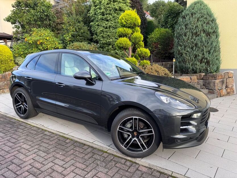 Macan