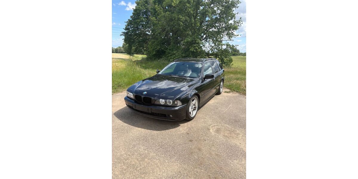 BMW 525 163.856 km 7.999 &euro; Peitz 03185