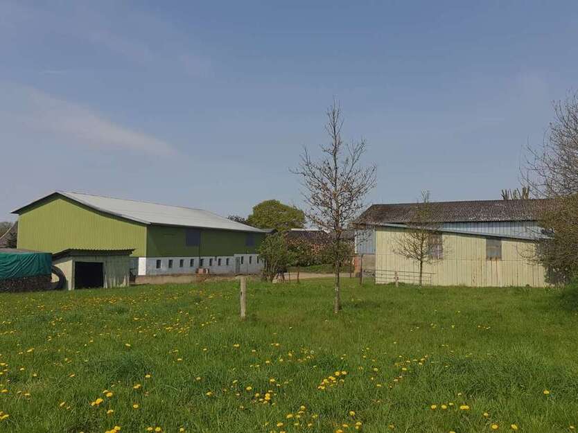 Haus zum Kaufen in Sarzbüttel 315.000 € 180 m²