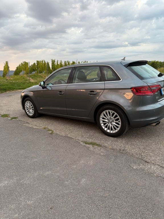 A3