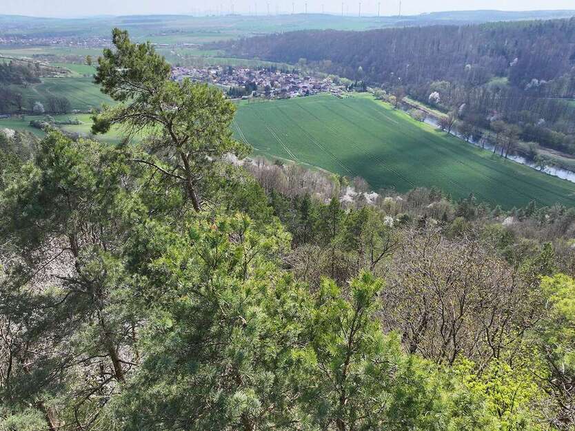 Grundstück in Amt Creuzburg 5.999 € 7340 m²