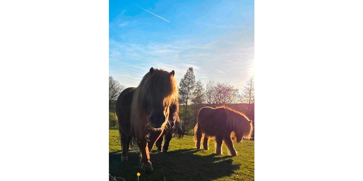 Ferienimmobilie Remptendorf - 90&euro; | Angebot:26531621