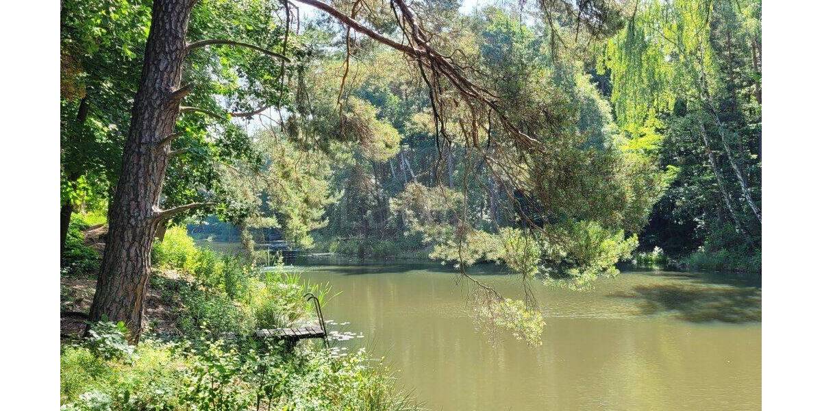 Grundstück Coswig (Anhalt) Coswig - 50.000&euro; | Angebot:26851834