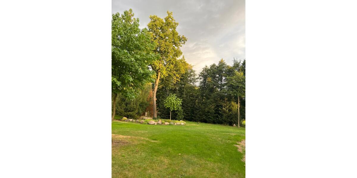 Gewerbeobjekt Walsrode - 1.000&euro; | Angebot:24794785