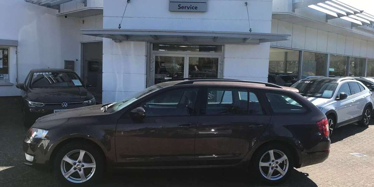 Skoda Octavia 101.065 km 14.500 &euro; Pasewalk 17309