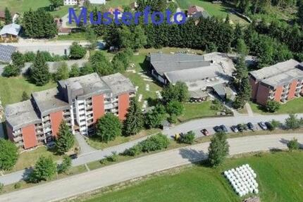 Wohnung Neureichenau - 1 Zimmer, 33 m&sup2;, 330&euro; | Angebot:20764917