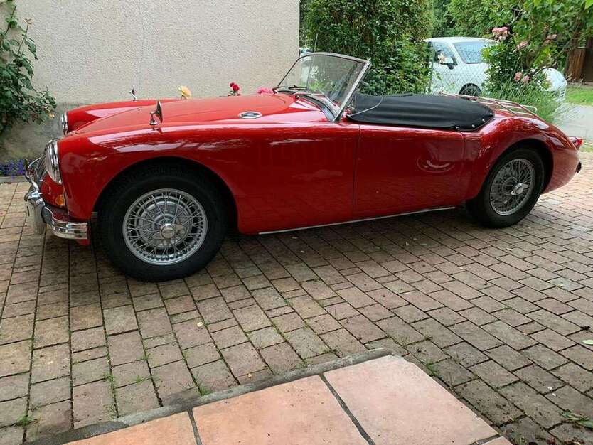 MGA