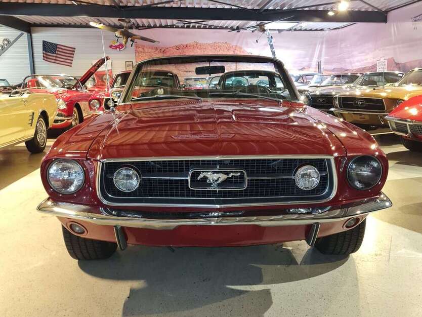 Mustang