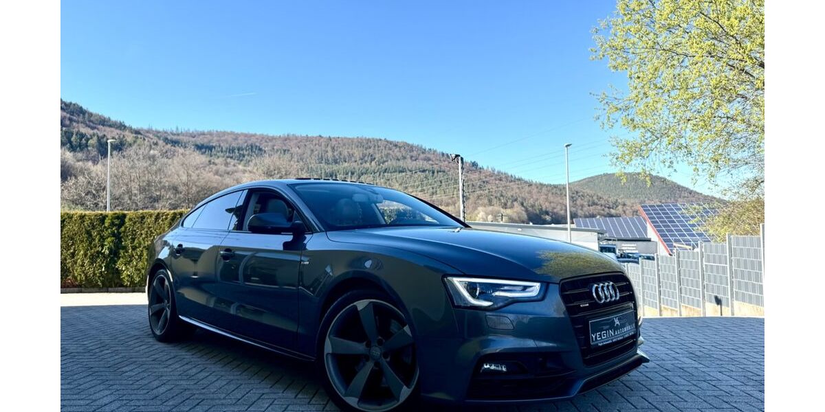 Audi A5 144.570 km 19.990 &euro; Weilbach 63937