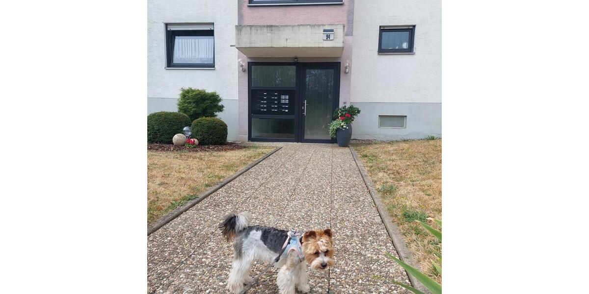 Etagenwohnung Pirmasens Niedersimten - 2 Zimmer, 70 m&sup2;, 148.000&euro; | Angebot:27266631
