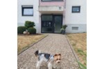 Etagenwohnung Pirmasens Niedersimten - 2 Zimmer, 70 m&sup2;, 148.000&euro; | Angebot:27266631