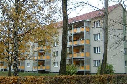 Neu renovierte 2,5-Raumwohnung mit Kletterbonus zimmer