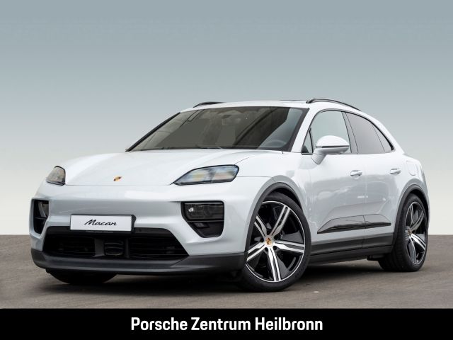 Macan