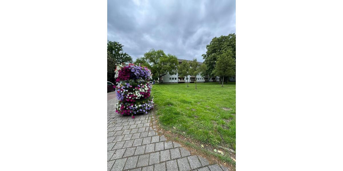 Erdgeschoßwohnung Duisburg Duisburg-Mitte - 3.5 Zimmer, 65 m&sup2;, 800&euro; | Angebot:26670847