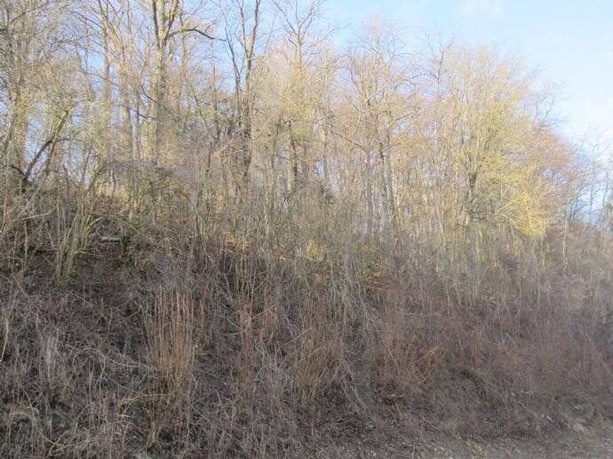 Grundstück Widdern - 25.000&euro; | Angebot:25700084