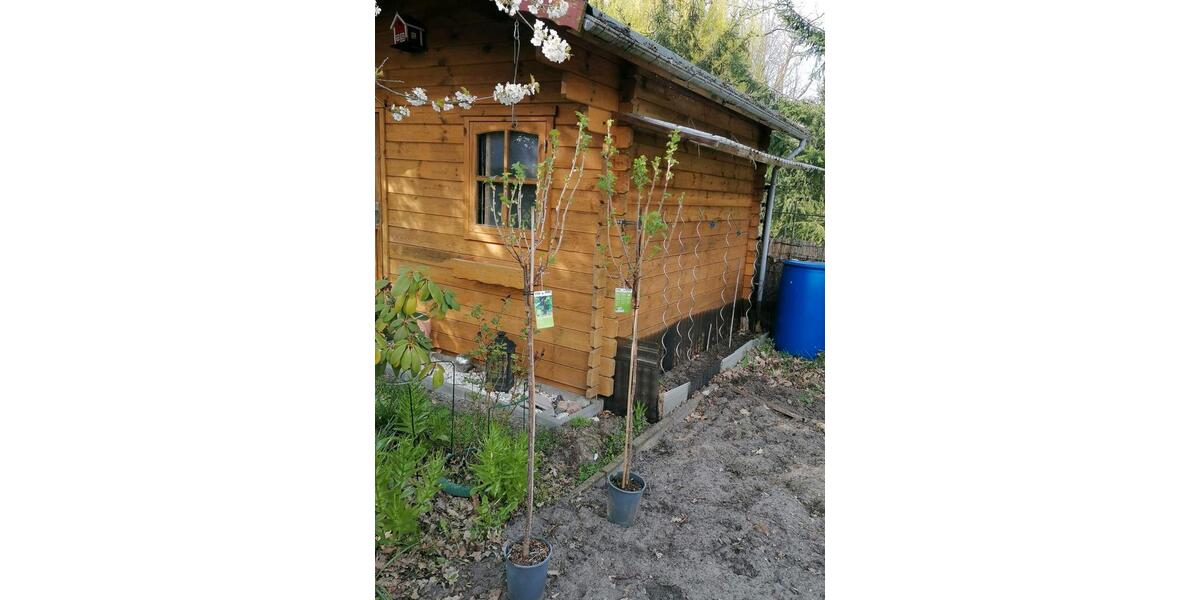 Bungalow Rathenow - 2 Zimmer, 36 m&sup2;, 45.000&euro; | Angebot:20304217