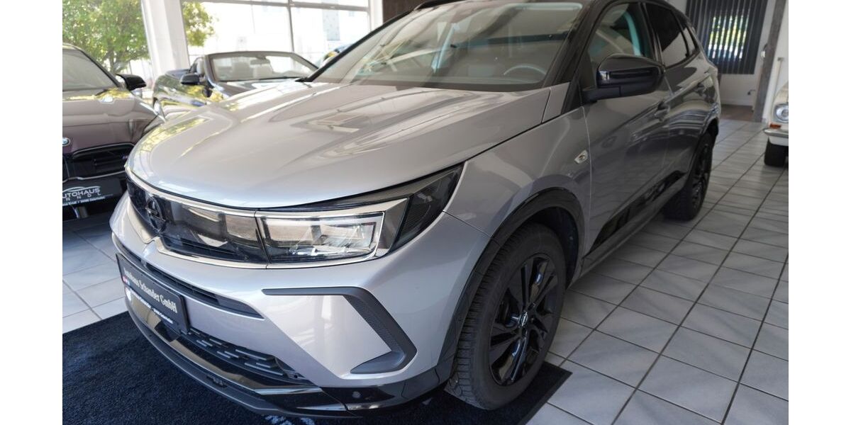 Opel Grandland (X) 104.101 km 14.590 &euro; Osterhofen 94486
