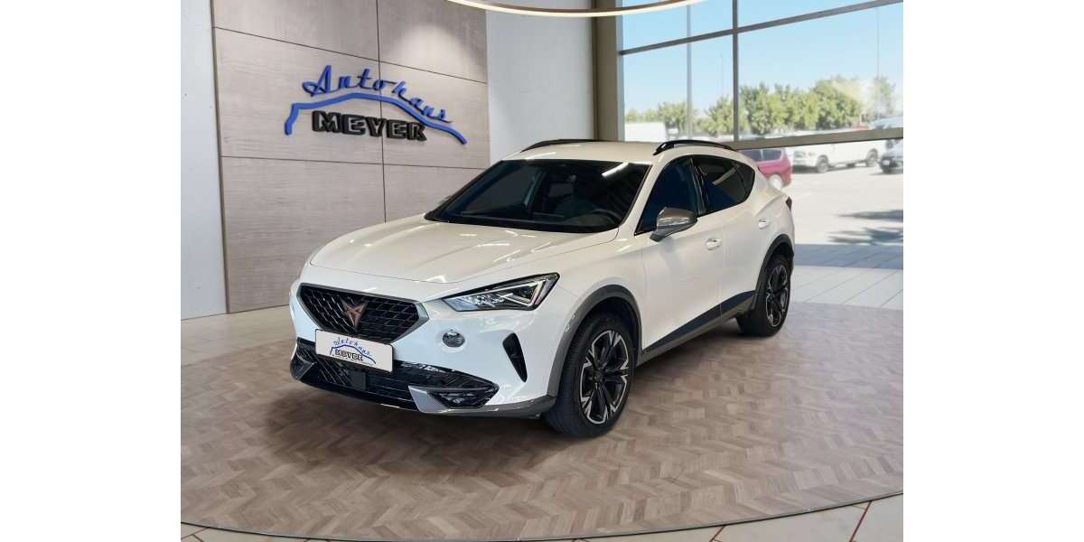 Cupra Formentor 21.100 km 28.910 &euro; Sickte 38173