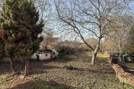 Grundstück Halberstadt - 70.000&euro; | Angebot:25475426