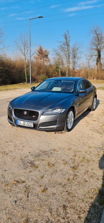 XF