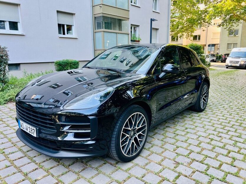 Macan