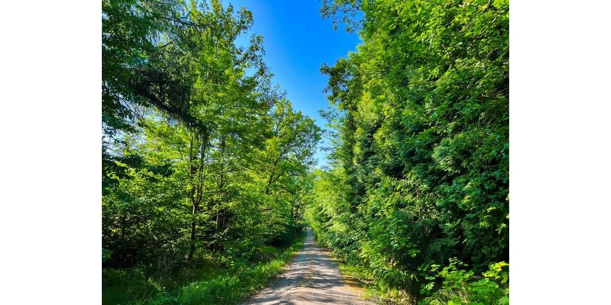 Bauernhaus, Landhaus Neustadt Berthelsdorf - 5 Zimmer, 150 m&sup2;, 485.000&euro; | Angebot:25770653