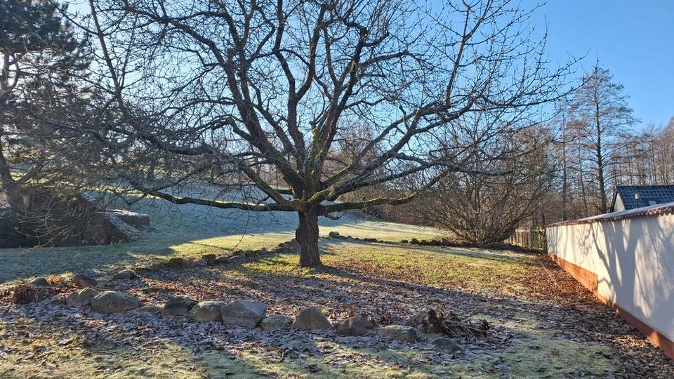 Bauernhaus, Landhaus Neuzelle - 7 Zimmer, 160 m&sup2;, 1.799&euro; | Angebot:26006320