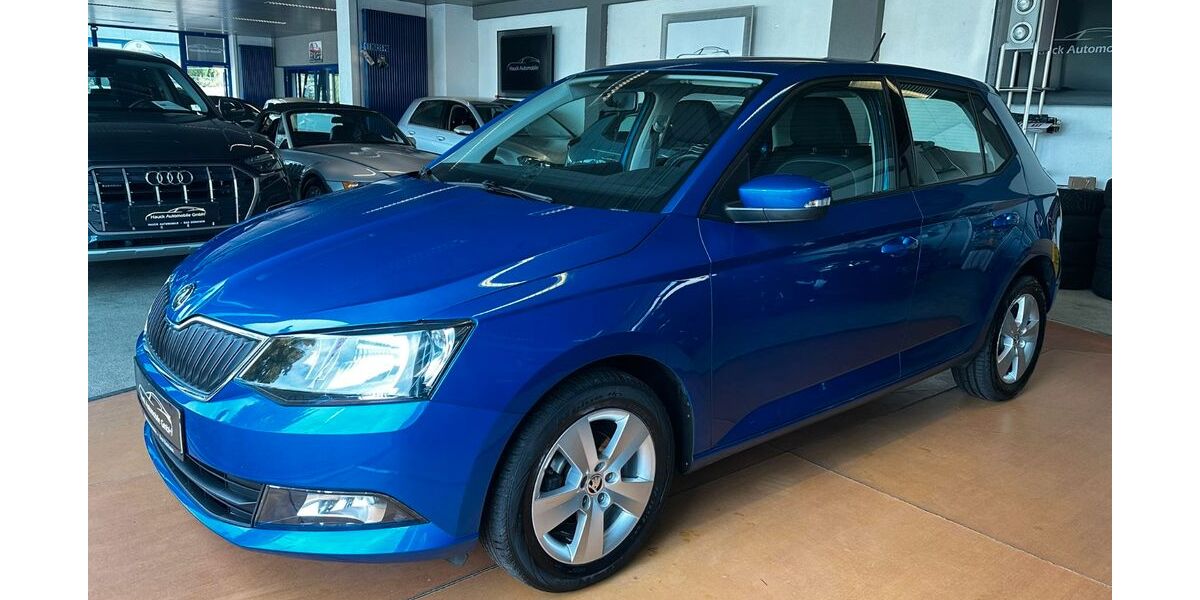 Skoda Fabia 107.507 km 9.790 € Bad Dürkheim 67098