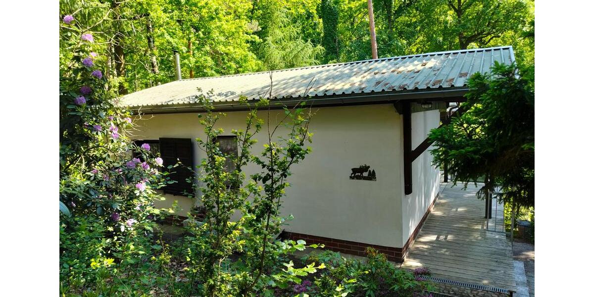Einfamilienhaus Torgau - 4 Zimmer, 62 m&sup2;, 95.000&euro; | Angebot:20753043