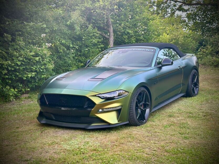 Mustang