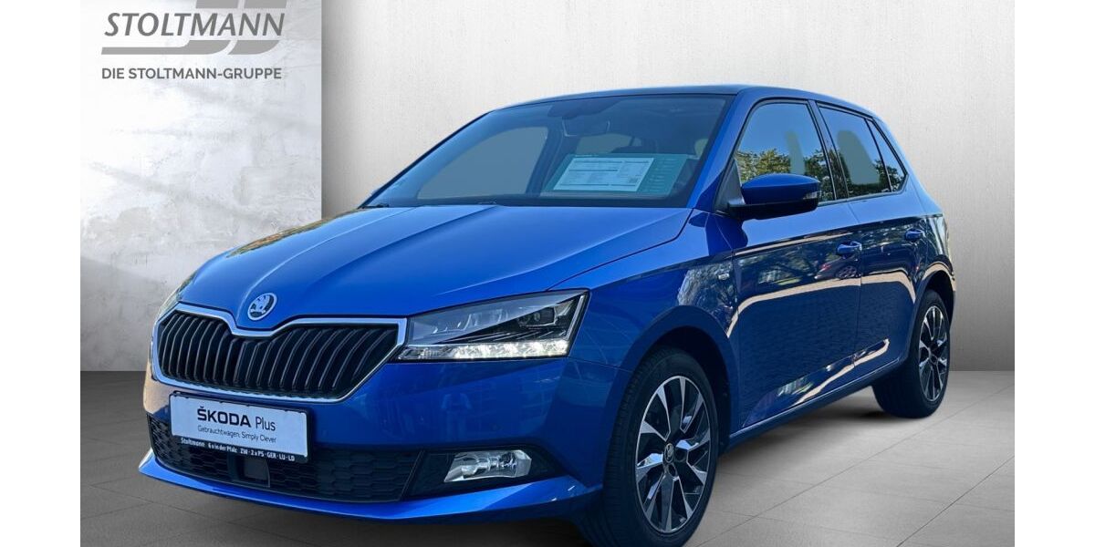 Skoda Fabia 49.500 km 15.888 € Pirmasens 66953