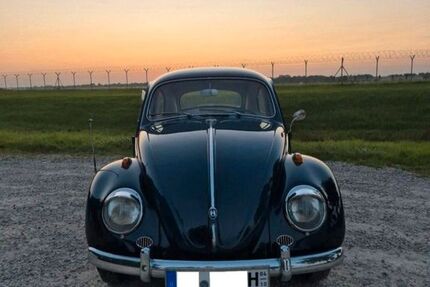 VW Käfer 108.000 km 18.999 &euro; Hallbergmoos 85399