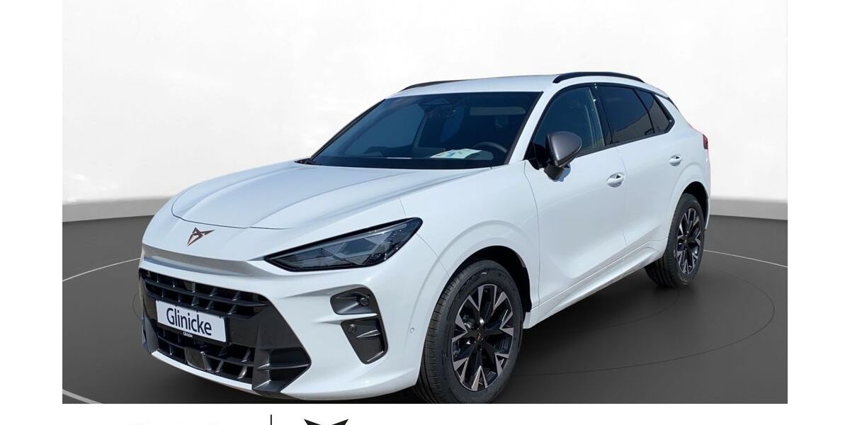 Cupra Terramar 10.000 km 39.200 &euro; Witzenhausen 37213