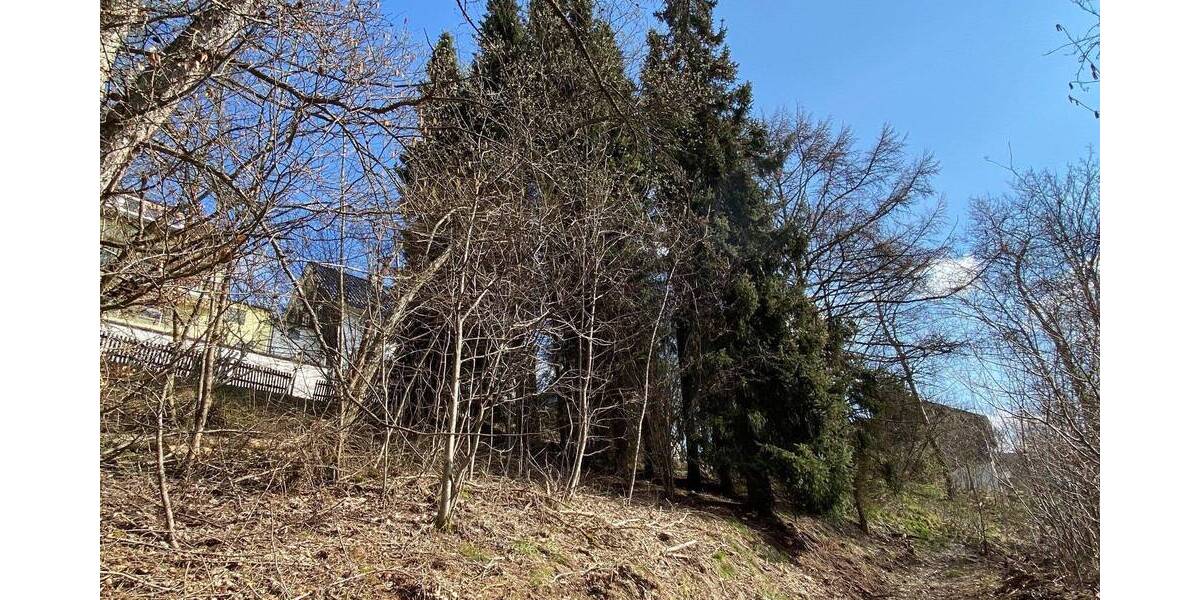 Grundstück Bad Berleburg Aue - 22.000&euro; | Angebot:25667709