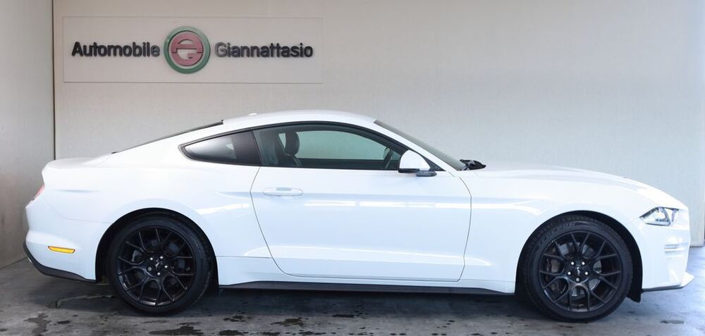 Mustang