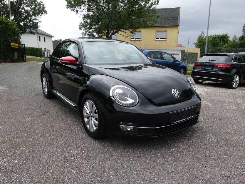 Beetle