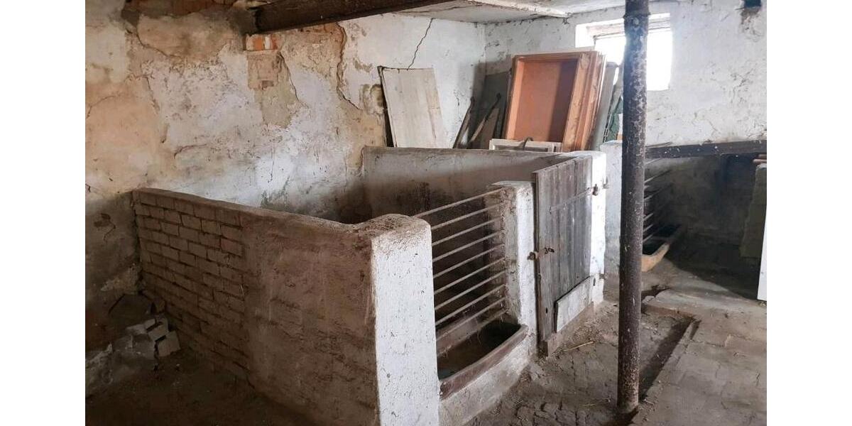 Einfamilienhaus Plessa - 5 Zimmer, 110 m&sup2;, 299.000&euro; | Angebot:26885059