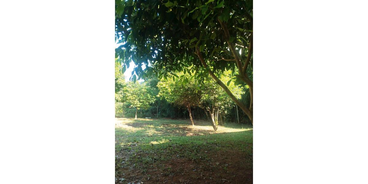 Einfamilienhaus Ammerbuch - 1 Zimmer, 56 m&sup2;, 25.000&euro; | Angebot:25893973