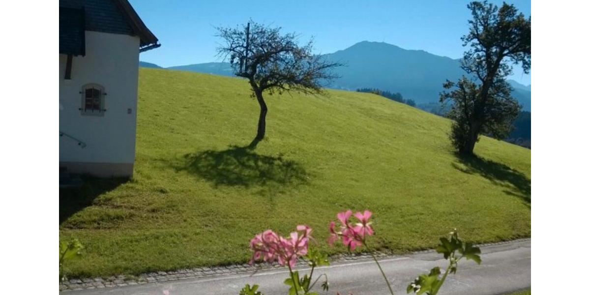Dachgeschoßwohnung Immenstadt im Allgäu - 1 Zimmer, 50 m&sup2;, 1.000&euro; | Angebot:26614923