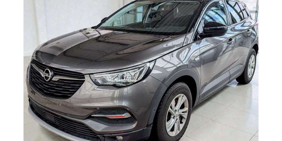 Opel Grandland X 118.490 km 13.900 &euro; Limburg 65549