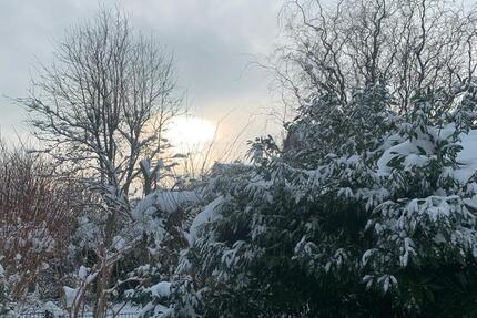 Vermietung Harsefeld 3 Zimmer EG Wohnung zentral 3 zimmer
