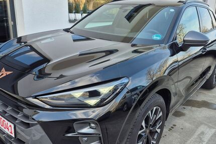 Cupra Terramar 9.802 km 30.500 &euro; Neuenstadt am Kocher 74196