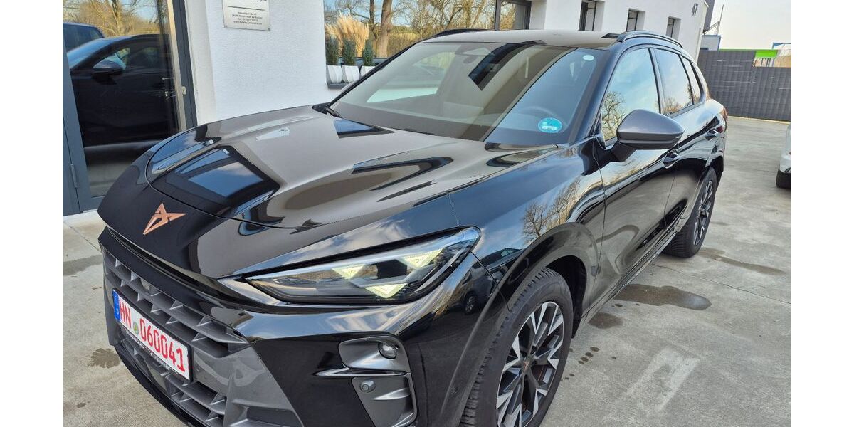 Cupra Terramar 9.802 km 30.500 &euro; Neuenstadt am Kocher 74196